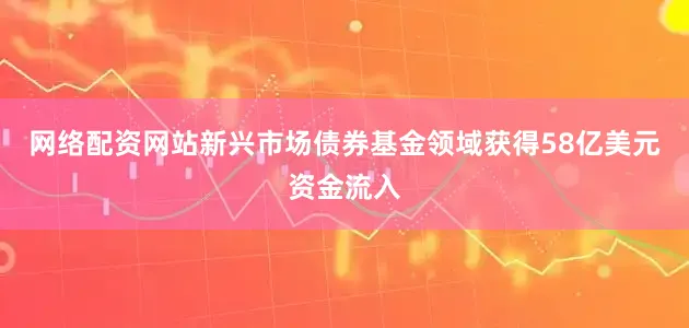 网络配资网站新兴市场债券基金领域获得58亿美元资金流入