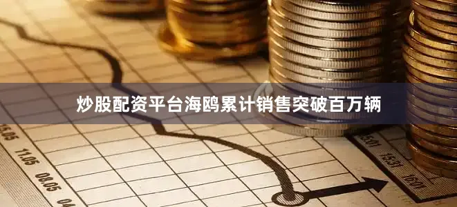 炒股配资平台海鸥累计销售突破百万辆