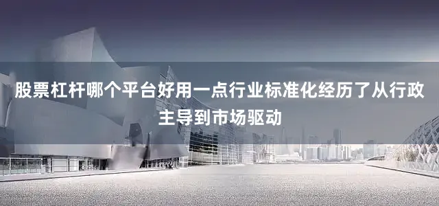 股票杠杆哪个平台好用一点行业标准化经历了从行政主导到市场驱动
