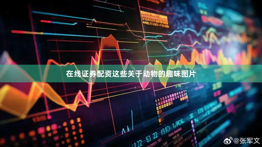 在线证券配资这些关于动物的趣味图片