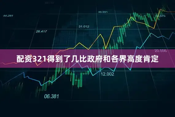配资321得到了几比政府和各界高度肯定