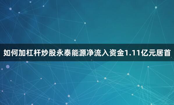 如何加杠杆炒股永泰能源净流入资金1.11亿元居首