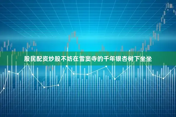 股民配资炒股不妨在雪窦寺的千年银杏树下坐坐